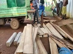 बस्तर में वन विभाग ने सागौन लकड़ी की तस्करी को किया नाकाम, चिरान से भरी एक पिकअप को किया जब्त, तस्कर फरार