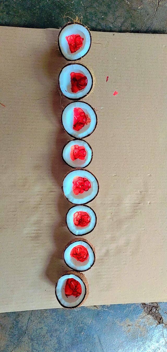 पण यंदाच्या त्यांनी नारळामध्येच अष्टविनायक गणपती रेखाटले आहेत.