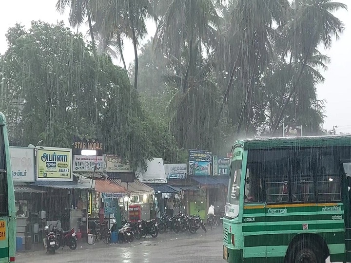 திருவாரூர் மாவட்டத்தில் வெளுத்து வாங்கிய கனமழை - நெல் பயிர்கள் நீரில் மூழ்குவதால் விவசாயிகள் வேதனை