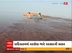 પાકિસ્તાનમાં વરસેલા ભારે વરસાદની અસર કચ્છના રણમાં જોવા મળી