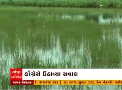 અતિવૃષ્ટિથી ખેતીને નુકસાન, હજુ સુધી નથી ચુકવાયું વળતર