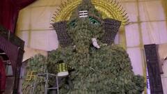 Pineapple Vinayaka: చంద్రగిరి సమీపంలో 7వేల పైనాపిల్స్ తో వినాయక విగ్రహం ఏర్పాటు | DNN | ABP Desam