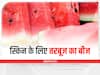 Watermelon Seeds Benefits: तरबूज के बीजों से पाएं गुलाबी निखार, इस तरह करें इस्तेमाल