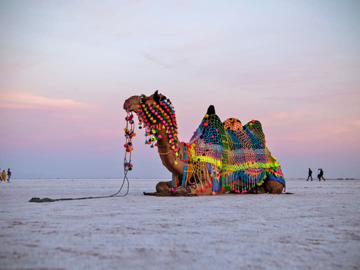 इस रेगिस्तान में आप ऊंट की सफारी का आनंद ले सकते हैं.