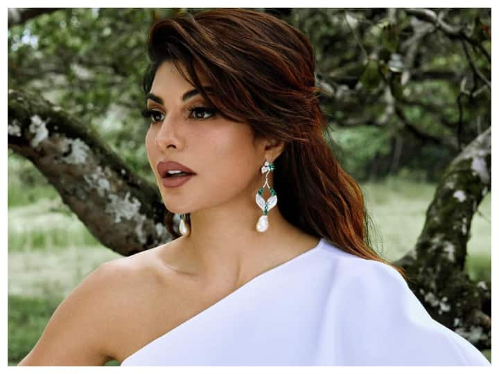 Jacqueline Fernandez Summoned By Delhi Court in Rs 200 Crore Extortion Case