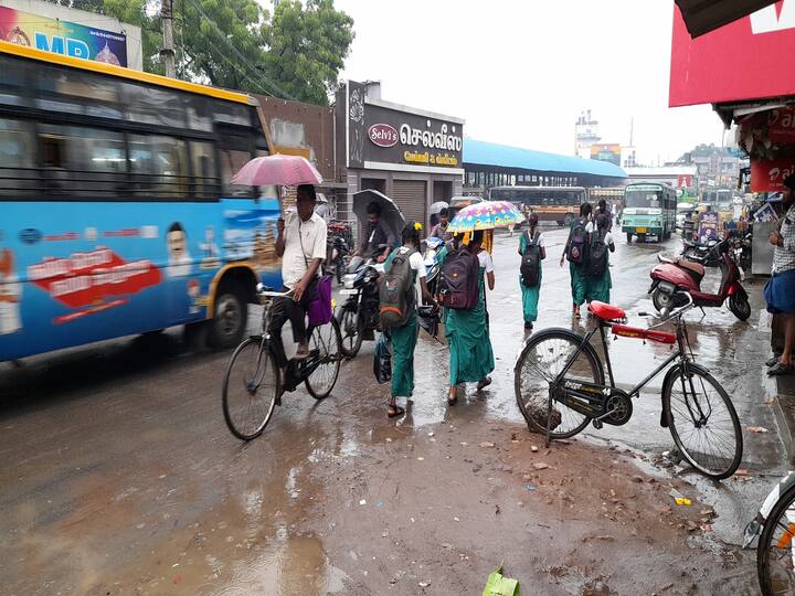 thiruvarur district heavy rain schools college leave announcement in collector TNN திருவாரூர் மாவட்டத்தில் கனமழை - பள்ளி, கல்லூரிகளுக்கு விடுமுறை