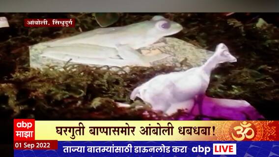 Sindhudurg Ganeshotsav 2022 : आंबोलीचा मुख्य धबधबा आणि अडव्हेंचर असा पर्यावरण पूरक देखावा