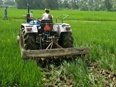 दबंगों के कब्जे से मुक्त कराई गई चारागाह की जमीन, ट्रैक्टर चलाकर हुई खड़ी फसल की जुताई