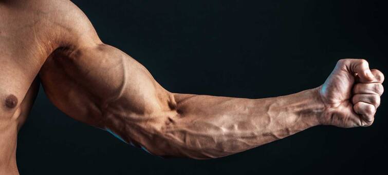 Healthy Veins: Weakness of veins in the body can cause heavy damage, make them strong by following these tips. Healthy Veins : ਸਰੀਰ ਦੀਆਂ ਨਾੜੀਆਂ ਕਮਜ਼ੋਰ ਹੋਣ ਨਾਲ ਹੋ ਸਕਦੈ ਭਾਰੀ ਨੁਕਸਾਨ, ਇਨ੍ਹਾਂ ਨੁਸਖਿਆਂ ਨੂੰ ਫਾਲੋ ਕਰਕੇ ਬਣਾਓ ਮਜ਼ਬੂਤ