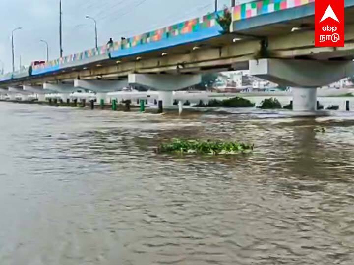 Theni In the last 5 days, the water level of Vaigai Dam has risen to 58 feet Farmers are happy Theni: தொடர் மழை; வைகை அணை நீர்மட்டம் உயர்வு - விவசாயிகள் மகிழ்ச்சி