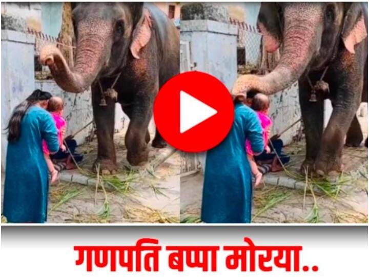 Elephant Giving Blessing to a Woman And a Baby By its Trunk IPS Officer shares the Post On Ganesh Chaturthi 2022 viral video on social media Viral: सूंड से आशीर्वाद देते हाथी का वीडियो वायरल, गणेश चतुर्थी पर मचाई धूम