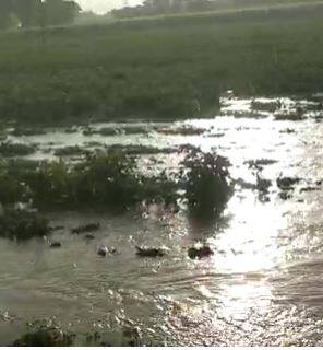 मुंबईसह पुणे रायगड आणि पालघरमध्ये पावसाची हजेरी