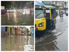 यूपी- महाराष्ट्र और मध्य प्रदेश समेत कई राज्यों में जारी रहेगा बारिश का सिलसिला, जानिए देशभर के मौसम का हाल