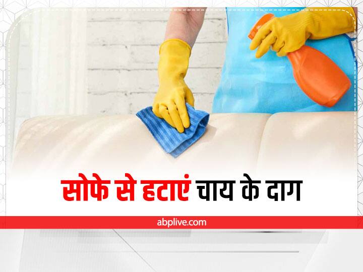 how to clean your fabric sofa at home to remove tea and coffee stains फैब्रिक सोफे पर गिर गई है चाय या कॉफी तो ऐसे करें झटपट साफ, नहीं पड़ेगा जिद्दी दाग