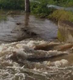 Photo : राज्याच्या विविध भागात पावसाची हजेरी