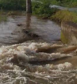 राज्याच्या विविध भागात पावसाची हजेरी