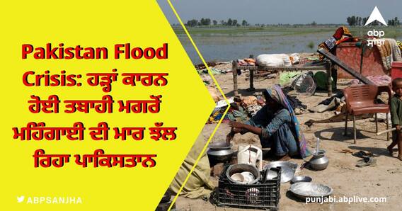 Pakistan Flood Crisis: ਹੜ੍ਹਾਂ ਕਾਰਨ ਹੋਈ ਤਬਾਹੀ ਮਗਰੋਂ ਮਹਿੰਗਾਈ ਦੀ ਮਾਰ ਝੱਲ ਰਿਹਾ ਪਾਕਿਸਤਾਨ