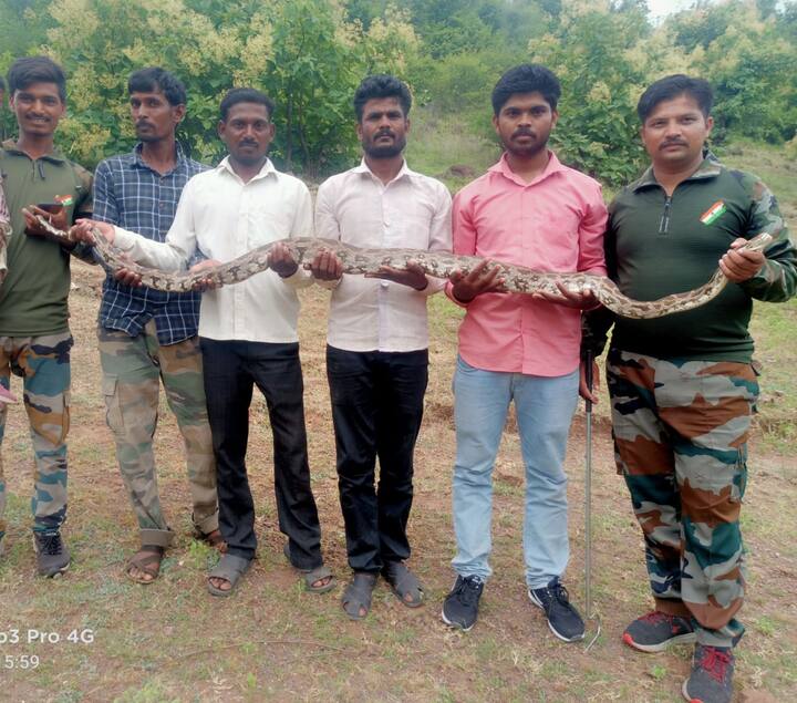सर्पमित्र व वनरक्षक यांच्या तीन तासांच्या अथक परीश्रमाने अजगरास विहीरीतुन काढण्यात यश आले.