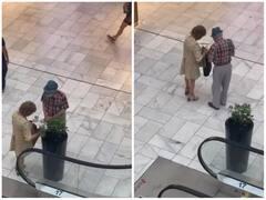 Viral Video: बुजुर्ग दंपति ने मॉल से चुराए पौधे, वारदात देख रह जाएंगे दंग