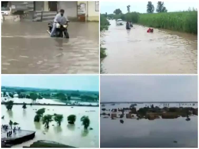 Flood situation in many districts of up and bihar in india 1 thousand 200 people died in pakistan due to heavy rain Heavy Rain : यूपी बिहारसह उत्तराखंडमध्ये पूरस्थिती, तर पाकिस्तानात पुराचं थैमान, तर 1 हजार 200 जणांचा मृत्यू