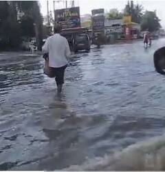 Photo : राज्याच्या विविध भागात पावसाची हजेरी