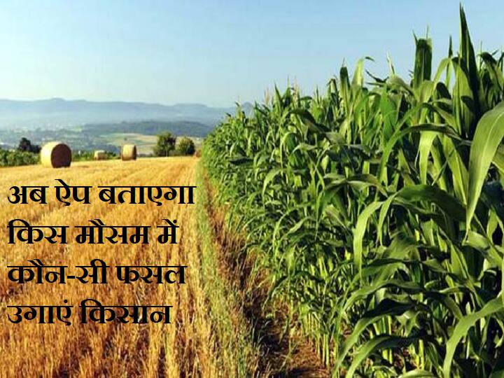 Smart India Hackathon 2022: अब App बताएगा किस मौसम में कौन-सी फसल उगाएं किसान Bengaluru students won Smart India Hackathon 2022 for developing app for farmers Smart India Hackathon 2022: अब App बताएगा किस मौसम में कौन-सी फसल उगाएं किसान
