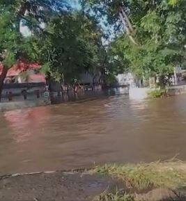 नाशिक जिल्ह्यात मुसळधार पाऊस