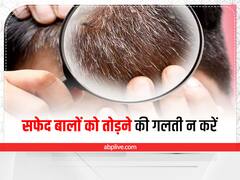 सफेद बालों से हैं परेशान, तो भूलकर भी इन्हें न तोड़ें, बढ़ सकती है आपकी परेशानी