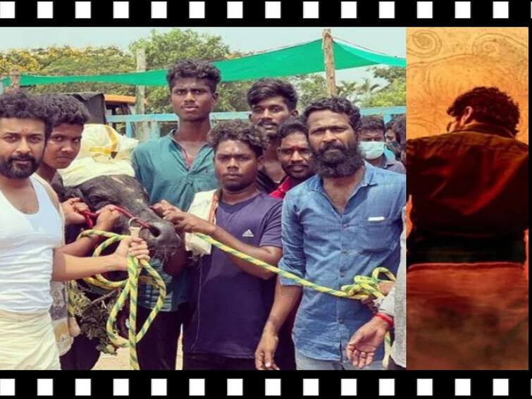 Suriya Starring Vaadi vaasal shoot to began from upcoming December Vaadi Vaasal : வாடிவாசலுக்கு ரெடியாகும் கோலிவுட் காளை.. டிசம்பரில் துவங்கவிருக்கும் படப்பிடிப்பு