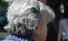 Grey Hair Secrets: পাকা চুল দেখামাত্র তুলে ফেলেন! হতে পারে মারাত্মক বিপদ