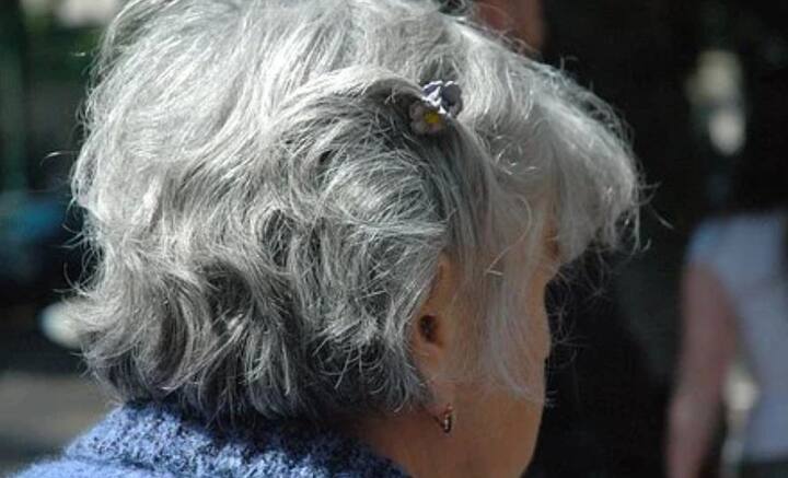 বয়সের প্রভাব চেহারায় পড়তে বাধ্য। আবার অনেক সময় আবার উল্টোটাও ঘটে। অল্প বয়সেই চুল পেকে যায় অনেকের। কিন্তু মাথায় এদিক ওদিক পাকা চুল দেখামাত্র তুলতে যাবেন না যেন!