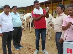 इटावा में पशुओं का वैक्सीनेशन शुरू, यूपी सरकार ने भेजे 5 हजार डोज