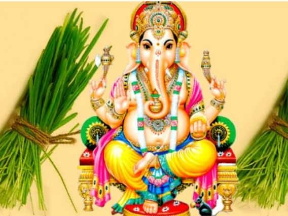 ભગવાન ગણેશને અર્પણ કરવા માટે દુર્વાને પહેલા સ્વચ્છ જગ્યાએથી તોડો અને પાણી સાફ કરો. દુર્વાથી ગણેશ પસન્ન થાય છે.