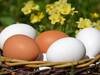 Eggs Benefits: గోధుమ రంగు గుడ్లు Vs తెలుపు రంగు గుడ్లు - వీటిలో ఏది ఆరోగ్యానికి మంచిది?