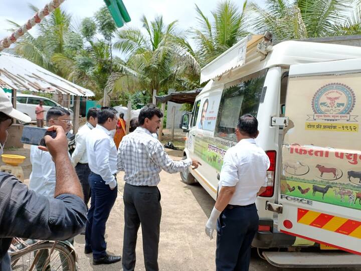 बाधित जनावरांचा मृत्यू झाला तर कमीत कमी 8 ते 9 फूट खोल खड्डयात गाडून विल्हेवाट लावावी. मृत जनावरांच्या खाली आणि वर चुन्याची पावडर टाकण्यात यावी.