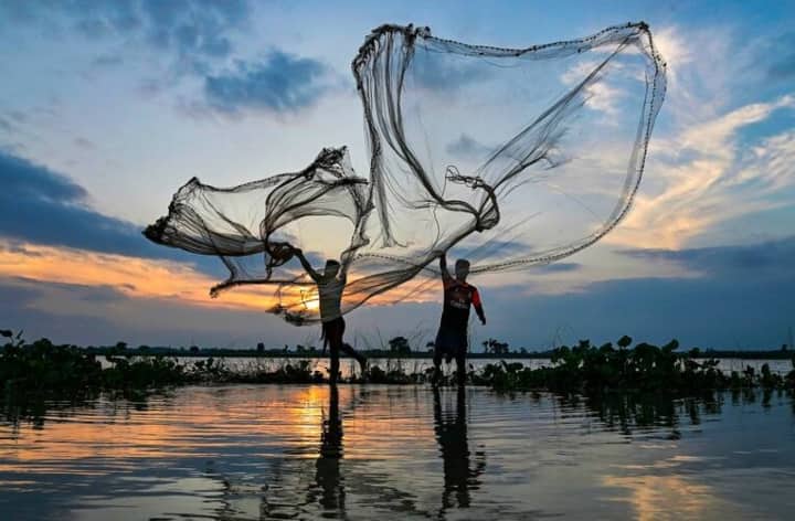Rajasthan central government will pay 60 percent of the cost for fish farming Udaipur News ANN Fish Farming: मछली पालन करने पर सरकार देगी लागत का 60 प्रतिशत अनुदान, जानिए कैसे करें अप्लाई