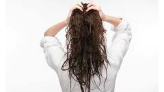 Hair Care Tips: ভেজা চুলে কোন কাজগুলো করলে চুলের মারাত্মক ক্ষতি হতে পারে?