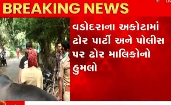 વડોદરાઃ ઢોર પાર્ટી અને પોલીસ પર હુમલો કરી પશુપાલકો છોડાવી ગયા ઢોર, જુઓ આ વીડિયો