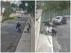 चोरों को सिखाया खतरनाक सबक, वीडियो देख नहीं रोक पाएंगे हंसी