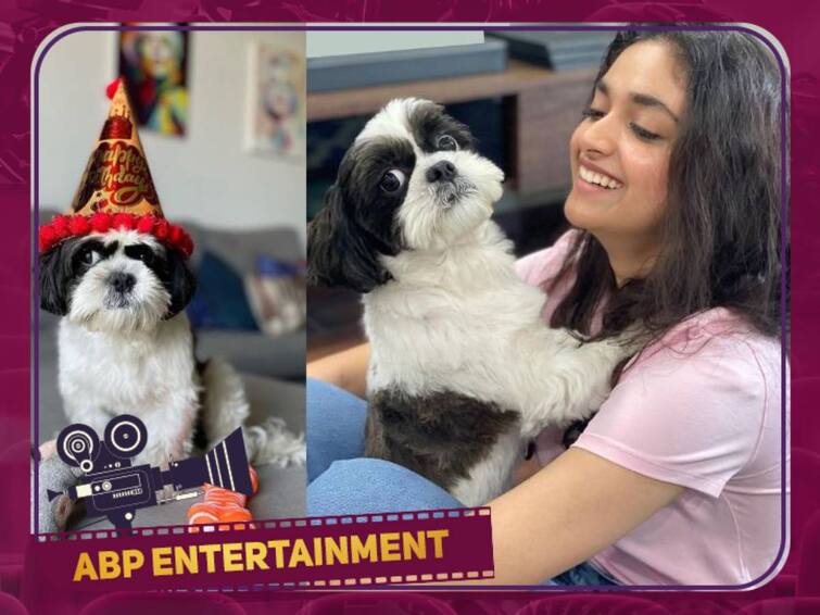 Keerthy Suresh Pet Dog Nyke Birthday Shared Cute Pics on Instagram Check Out Photos Keerthy Suresh Pet Dog: தனது நாய்க்குட்டியின் பிறந்த நாளை கொண்டாடிய நடிகை கீர்த்தி சுரேஷ்!