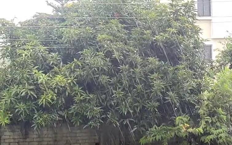 Ahmednagar Rains Along with the arrival of Bappa rains also arrived in the district Heavy rain warning in Ahmednagar for 3 days Ahmednagar Rains : बाप्पाच्या आगमनासोबत नगरमध्ये पावसाचेही दमदार आगमन, पुढील तीन दिवस अतिवृष्टीचा इशारा
