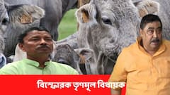 'নিঃসন্দেহে বন্ধ হওয়া দরকার', এবার গরু পাচারকাণ্ড নিয়ে মুখ খুললেন আরেক তৃণমূল বিধায়ক