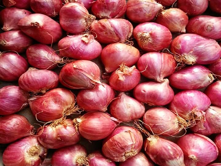 Rajkot: Onion price drops farmers worried check detail Onion Price: રાજકોટ સહિત સૌરાષ્ટ્રના માર્કેટિંગ યાર્ડમાં ડુંગળીના ભાવ તળિયે પહોંચ્યા, ખેડૂતની હાલત કફોડી
