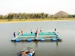 CM शिवराज सिंह चौहान के गृह जिले में मछुआ सहकारी समितियों में फर्जीवाड़ा? दिए गए जांच के आदेश