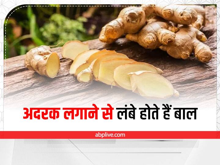 Trending news: Apply ginger in hair like this, hair will become long and strong - Hindustan News Hub Trending news: Apply ginger in hair like this, hair will become long and strong - Hindustan News Hub