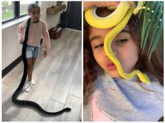 छोटी सी बच्ची को है जहरीले सांपों से खेलने का शौक, रोंगटे खड़े कर देगा वीडियो