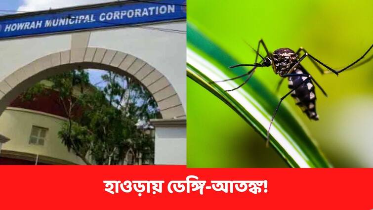 Dengue Spreads In Howrah, 2 death reported in recent times, Bad situation of drainage, local complaints Dengue Howrah : নর্দমা না ভ্যাট? একের পর এক ডেঙ্গি মৃত্যুর পরও হাওড়ার একী ছবি !