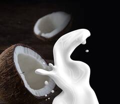 World Coconut Day 2022 : नारळाचे 'हे' फायदे तुम्हाला माहीत आहेत का?