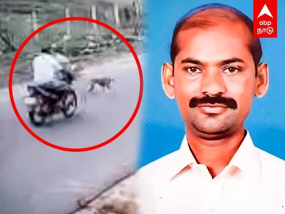 Bike Accident : குறுக்கே வந்த நாய்.. பறிபோன மற்றொரு உயிர்! பதறவைக்கும் சிசிடிவி