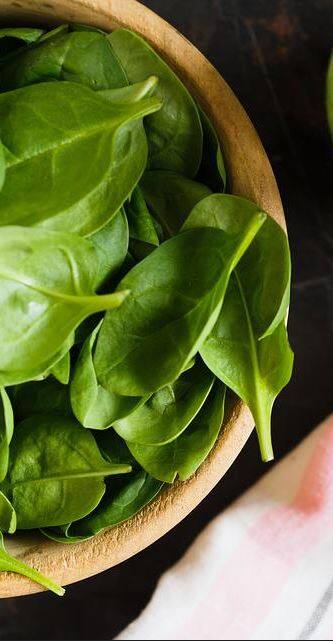 পাতে থাকুক পালংশাক, মিলবে উপকার